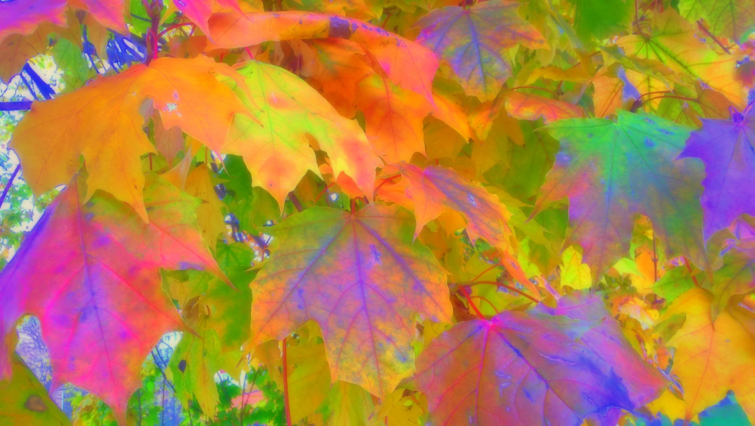 Autumn Statement 2022 Autumn Statement 2022